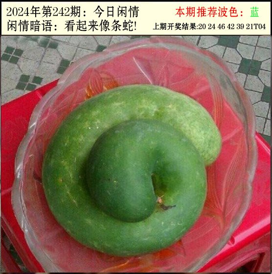 242期今日闲情2[图]