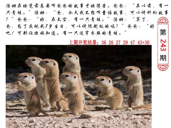243期澳门生活幽默[图]