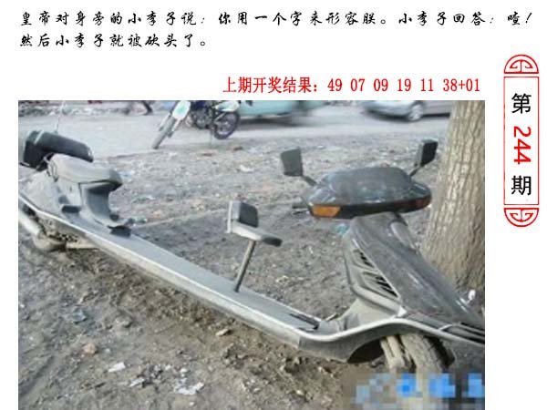 244期澳门生活幽默[图]