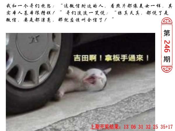 246期澳门生活幽默[图]