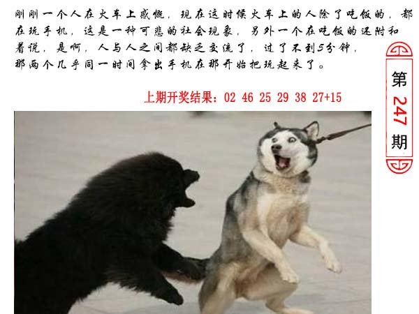 247期澳门生活幽默[图]