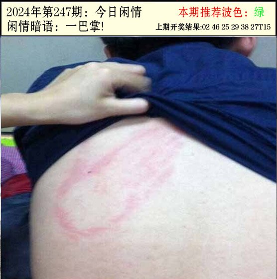 247期今日闲情2[图]