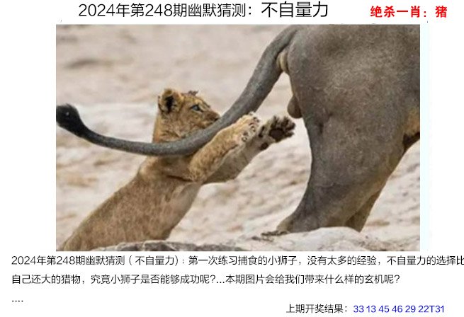 248期幽默猜测[图]