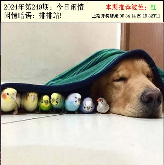 249期今日闲情2[图]