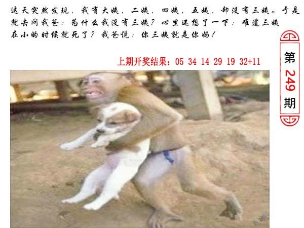 249期澳门生活幽默[图]