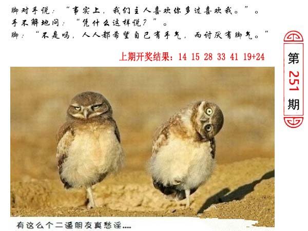 251期澳门生活幽默[图]