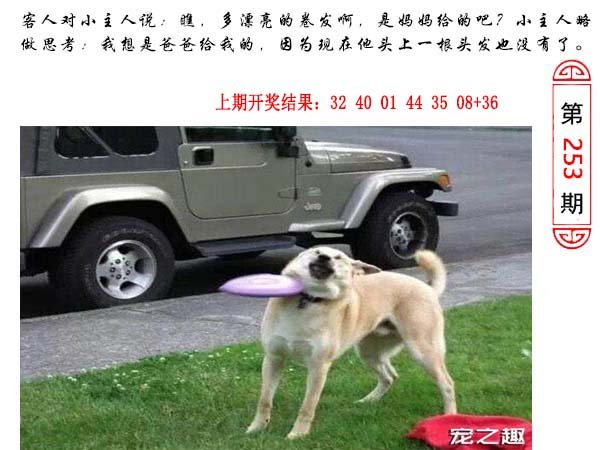 253期澳门生活幽默[图]