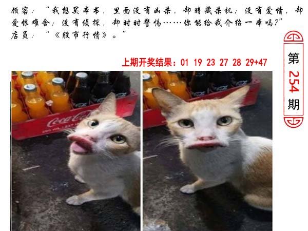 254期澳门生活幽默[图]