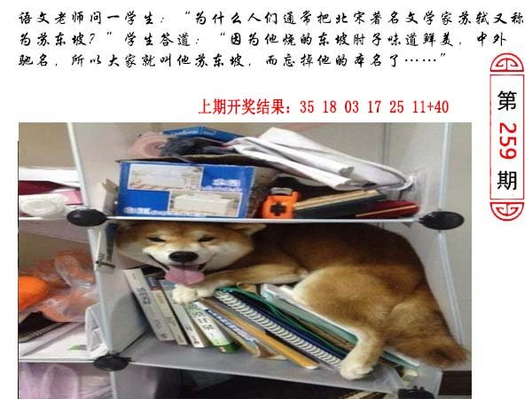 259期澳门生活幽默[图]