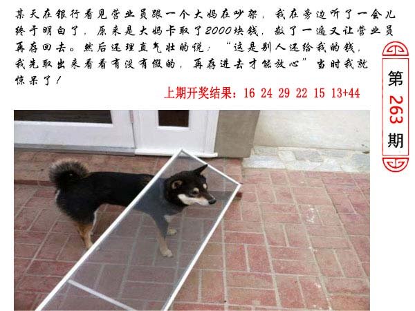 263期澳门生活幽默[图]