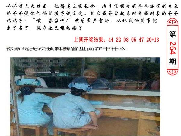 264期澳门生活幽默[图]
