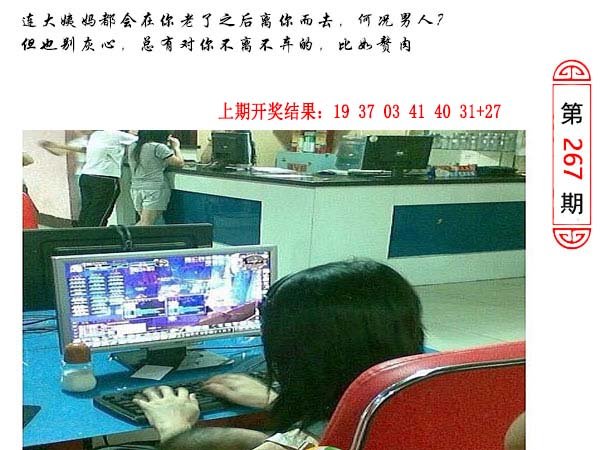 267期澳门生活幽默[图]