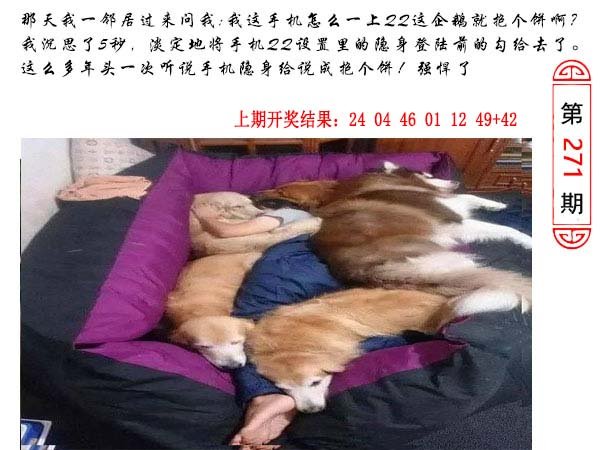 271期澳门生活幽默[图]