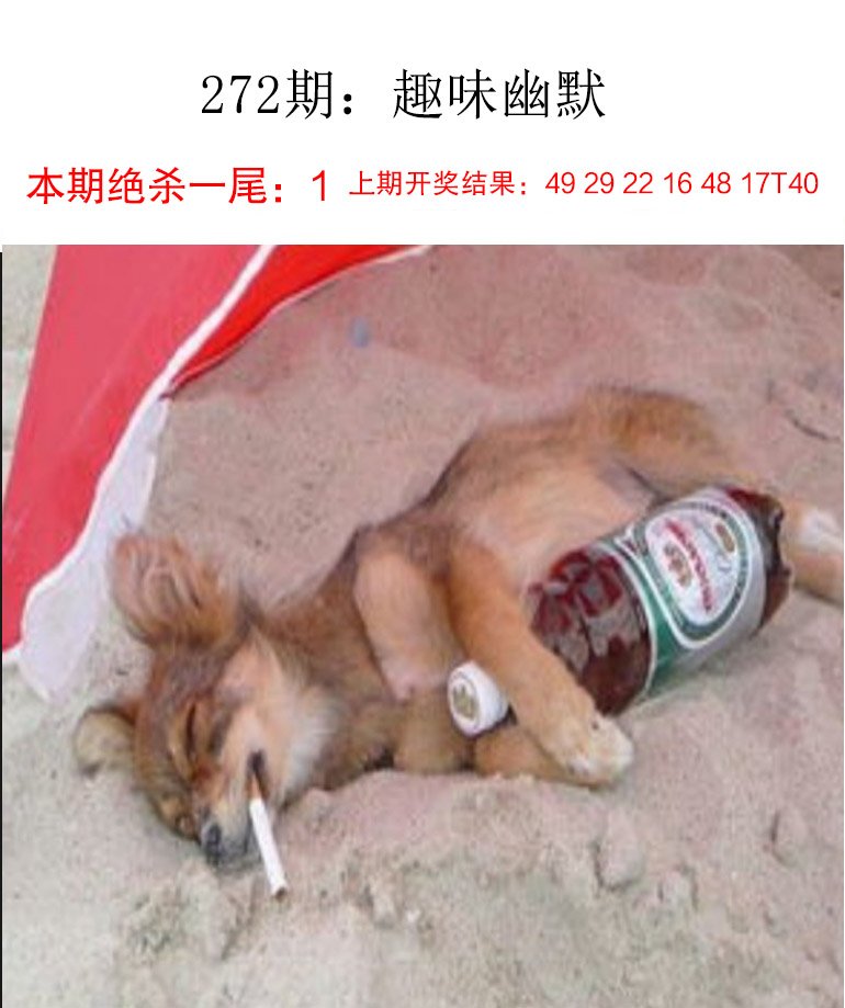 272期趣味幽默[图]