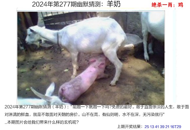 277期幽默猜测[图]