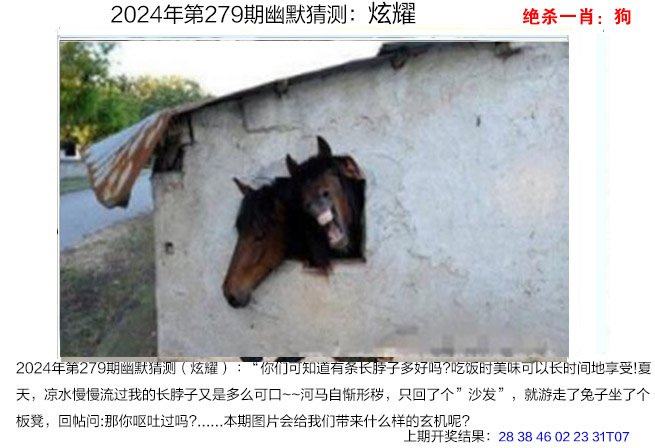 279期幽默猜测[图]