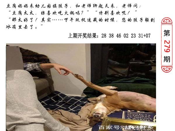 279期澳门生活幽默[图]