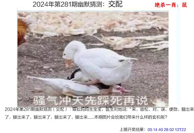 281期幽默猜测[图]