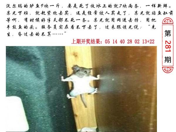 281期澳门生活幽默[图]