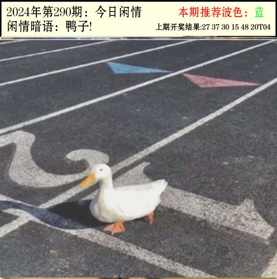 290期今日闲情2[图]