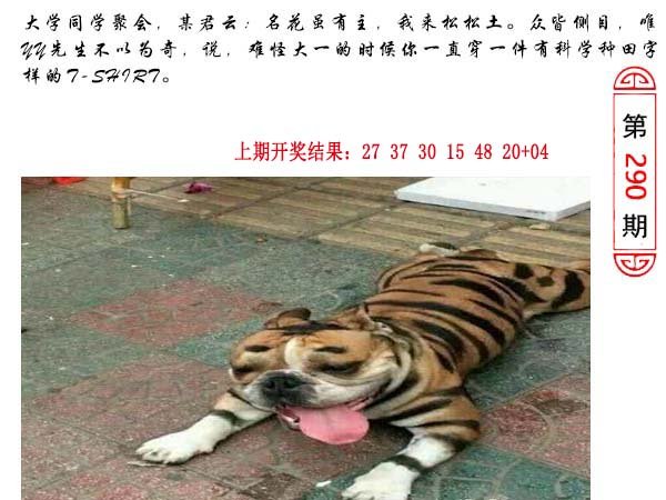 290期澳门生活幽默[图]