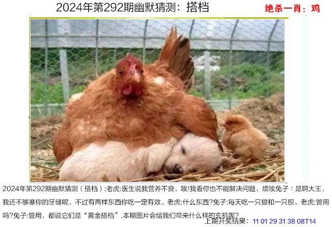 292期幽默猜测[图]