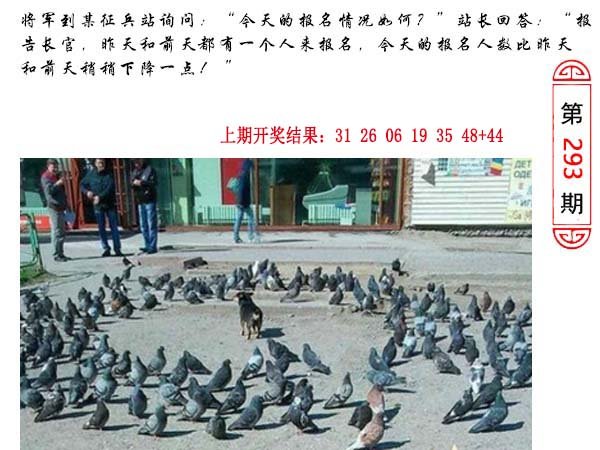 293期澳门生活幽默[图]