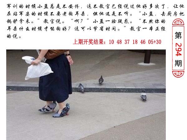 294期澳门生活幽默[图]