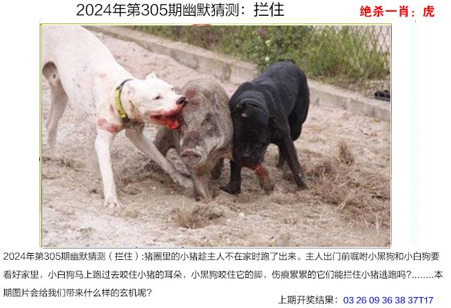 305期幽默猜测[图]