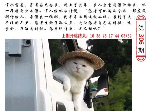 306期澳门生活幽默[图]