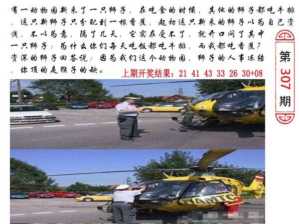 307期澳门生活幽默[图]