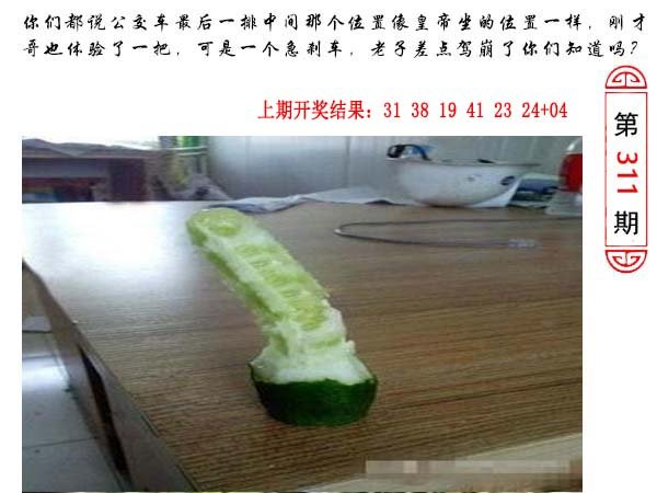 311期澳门生活幽默[图]
