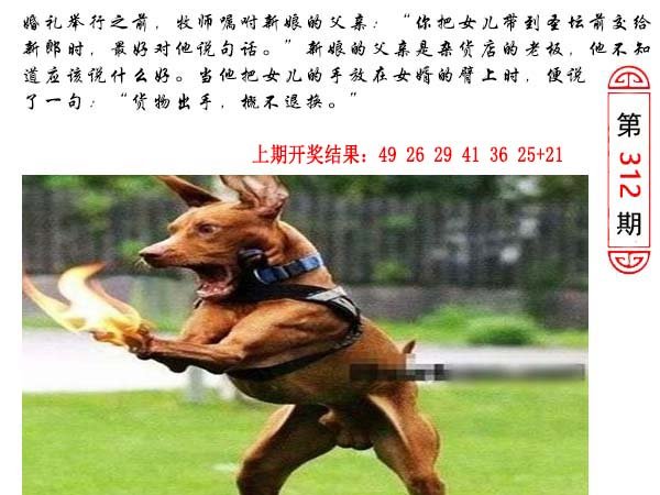 312期澳门生活幽默[图]