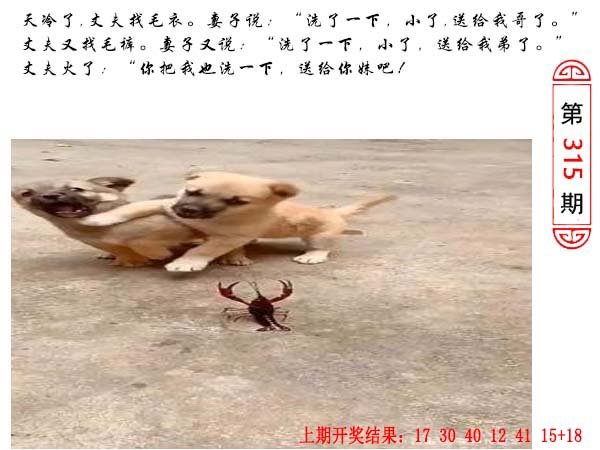 315期澳门生活幽默[图]