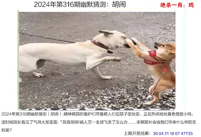 316期幽默猜测[图]