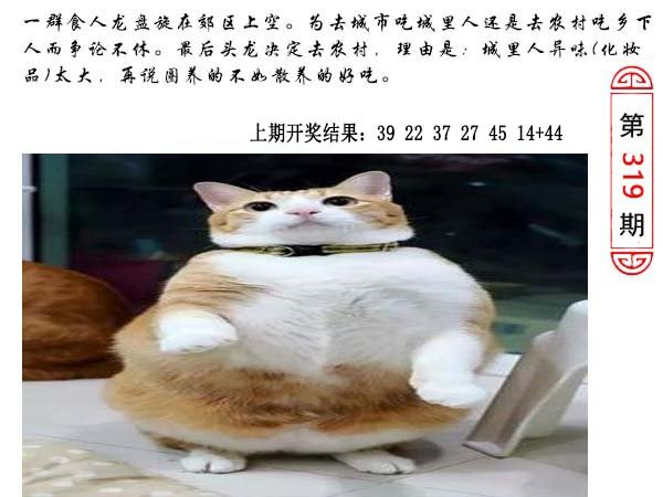 319期澳门生活幽默[图]