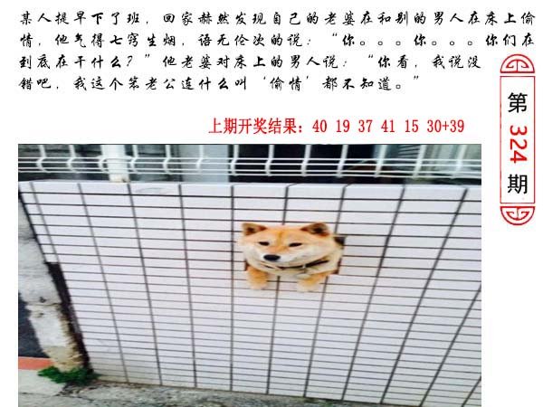 324期澳门生活幽默[图]