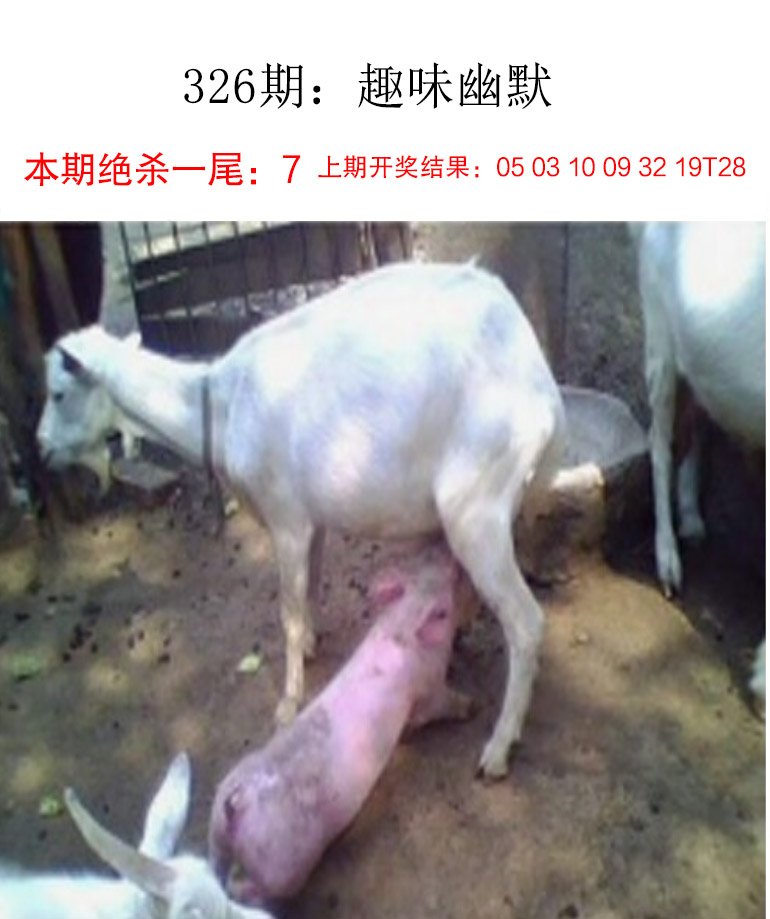 326期趣味幽默[图]