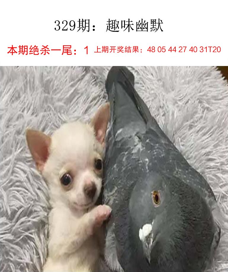 329期趣味幽默[图]