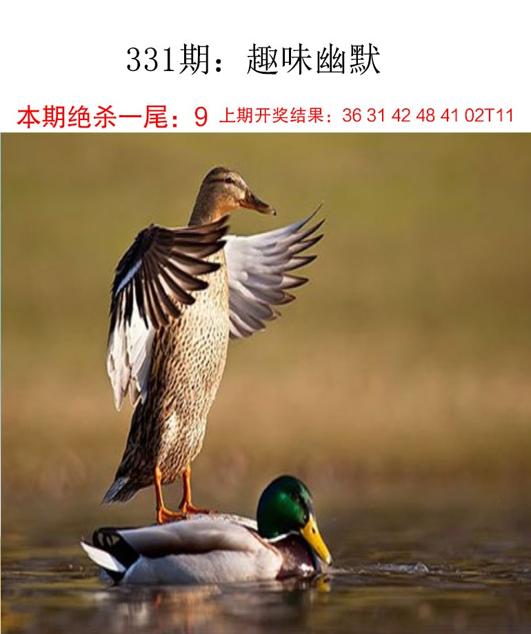 331期趣味幽默[图]