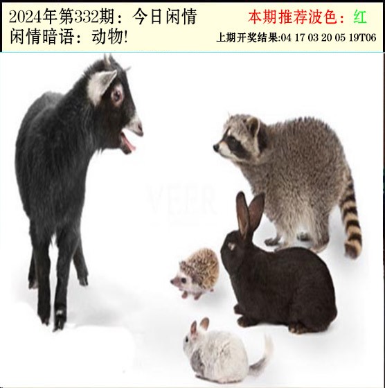 332期今日闲情2[图]