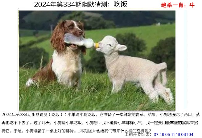 334期幽默猜测[图]