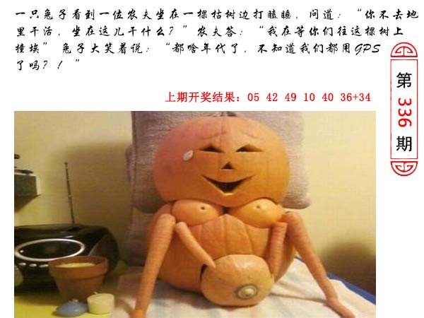 336期澳门生活幽默[图]