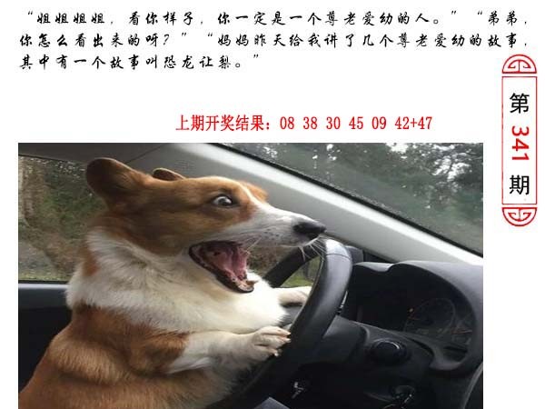 341期澳门生活幽默[图]