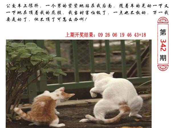 342期澳门生活幽默[图]