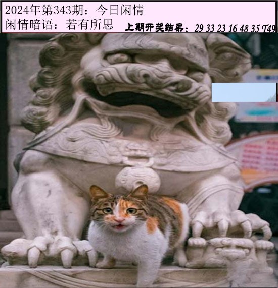 343期今日闲情[图]