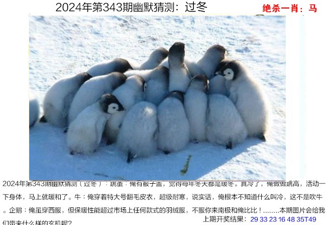 343期幽默猜测[图]