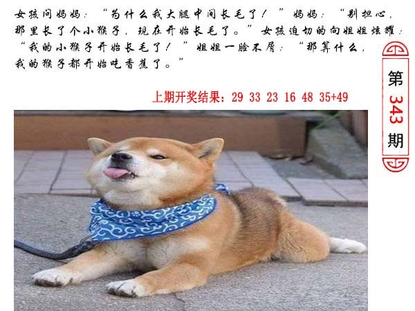 343期澳门生活幽默[图]