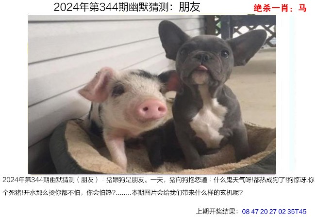 344期幽默猜测[图]