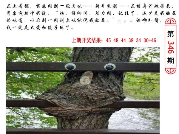 346期澳门生活幽默[图]